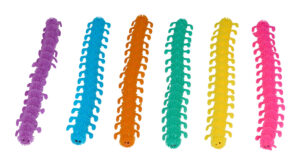 6 piece multicolour pack of children's toy fidget caterpillars
