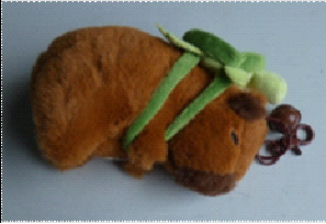 Image Shows Capybara Plush keyring